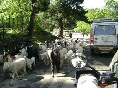 Traffic in Kashmir1.JPG